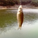 실조낚시
