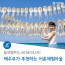 봄 여행주간, 바다로 떠나자! 해양수산부가 추천하는 어촌체험마을