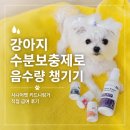 닥터키드니 | 강아지 음수량 늘리기 신장 관리 시니어펫 키드니링거 급여 후기