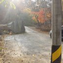 황금사슴농장 이미지