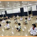 풍진(태권도) 이미지