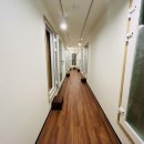 전부치는집 | 신정동드럼 제대로 배우고 온 날, 드럼치는공방 음악학원 솔직후기