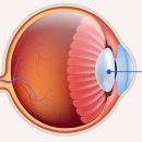 개포삼성안과의원 이미지