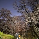 발그미조명 이미지