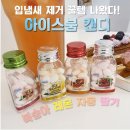 아이스붐