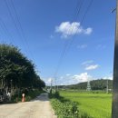 강나루캠핑야영장 이미지