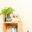 목동서로 이미지