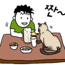 꼰돼지 이미지