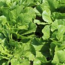 (주)드림유통 이미지