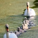 본동경로당 이미지