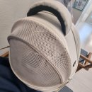 우남동물병원 | 9.13 우리 고양이 영탄이 건강검진&amp;스케일링&amp;조직제거 비용 및 후기 + 수술일주일차 후기