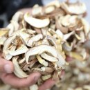 박종명 농장 | 신기하고 재미있는 버섯 이야기