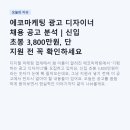 주)에코리더 | 에코마케팅 광고 디자이너 채용 공고 분석 | 신입 초봉 3,800만원, 단 지원 전 꼭 확인하세요
