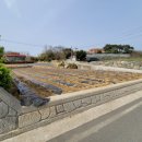 돈대박부동산공인중개사사무소 이미지