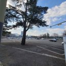 대안마을 | 전주 한옥마을 근처 주차 팁 : 도보 가능하고 시간제한 없는 인근 무료 주차장 2곳 (공영주차장 대안)