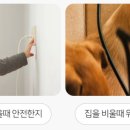 아이티비네트웍스