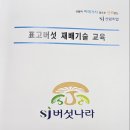 고선생귀촌일기 : 전지와 체리 포도 삽목 이미지