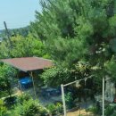 잔듸민박 이미지