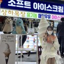 일봉모텔 | [2박3일 단양여행] DAY1, 우당탕탕 충청도 첫 방문 🌼🤫 (김해금관가야휴게소/남한강코스모스꽃길/사랑방...