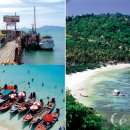 달콤한 휴식이 있는 향기로운 코코넛 섬 이미지