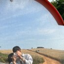 소해피