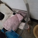 거창보일러수도