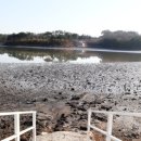 카우글램핑 이미지