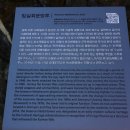 임실회문망루 Daum카페