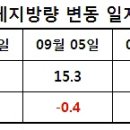 탄수화물 섭취량과 체지방 감량 및 근육량 증가의 관계? 이미지