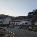 다이노 꽃밭에서 이미지