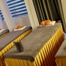 스파피닉스 이미지