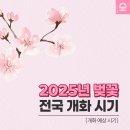 개화(아) 티스토리