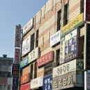 사파동333 이미지