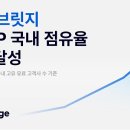 브릿지