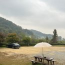 추추 추어탕 조치원홍대점 이미지