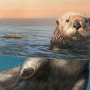 SEA & STAY 이미지