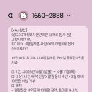 고향문구 | 위기브 고향사랑기부제 후기 (feat.바스크 치케)