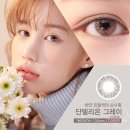 단델리온 이미지