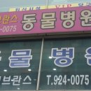 탄현 동물병원 이미지