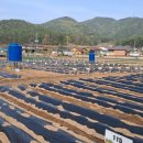 동서농장 이미지