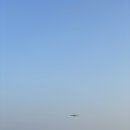 쏘카 캐스퍼 렌트 후기 영종도 드라이브 / 인천 하늘정원 / 억새밭 / 카페 구읍