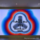 11650-17-196-39 | 김창열 회고전 후기 국립현대미술관 서울