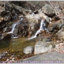 금바우골 이미지