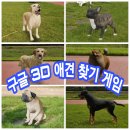 내 친구 스마트폰 이미지