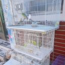 엔젤마트 | 충주 용궁수족관 방문 후기