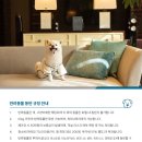 오크우드 프리미어 인천 송도 호캉스 조식 파노라믹 65다이닝 라이트 코스 이용후기(애견동반 가능)