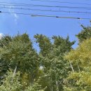 도리보건진료소 화장실 이미지