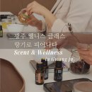 웰니스 체험 클래스 후기] 아로마로 디톡스·다이어트...한 번에 / 광주도테라 / 도테라 / 오일하우스광주