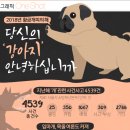 황금애견 중앙일보