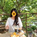 창녕 영산 만년교 | (경남 창녕) 창녕 화왕산, 창녕 오시우연, 창녕 번지없는 주막, 창녕 영산 만년교 창원 근교 창녕 가볼...